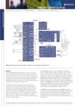 msm6100™ chipset solution