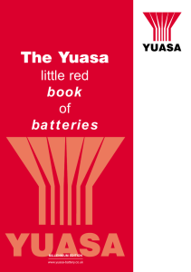 yuasa battery care