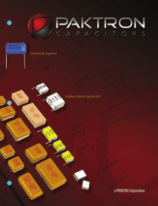 Paktron System Summary