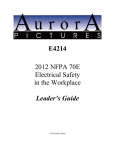 E4214 2012 NFPA 70E Electrical Safety in the Workplace Leader`s