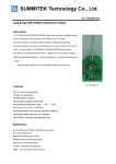 立奇國際貿易(上海)有限公司 CC1100+PA 模块规格书 V1