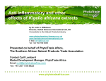 Anti inflammatory and other effects of Kigelia africana extracts