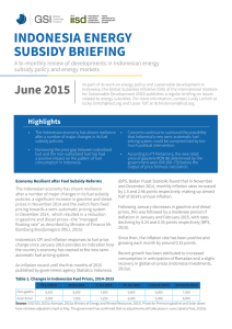 indonesia energy subsidy briefing