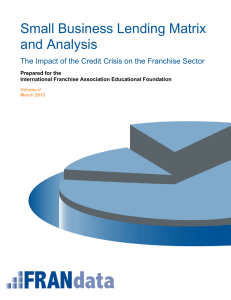 Small Business Lending Matrix and Analysis