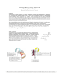 CORTISOL