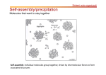 Liposomes for siRNA delivery