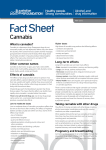Fact Sheet - Cannabis - DrugInfo