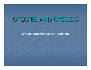 opiates and opioids - Wisconsin Public Defender