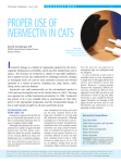 Proper Use of Ivermectin in Cats
