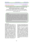 phytopharmacological aspects of chlorophytum borivilianum