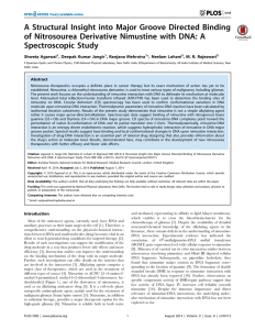 A Structural Insight into Major Groove Directed Binding of