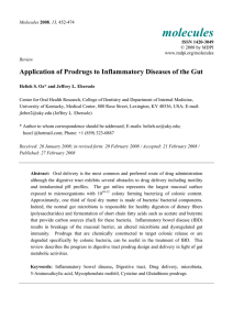 Application of Prodrugs to Inflammatory Diseases of the
