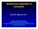 Anticancer potential of curcumin
