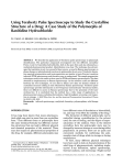 Using Terahertz Pulse Spectroscopy to Study the Crystalline