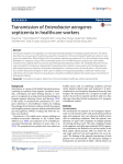 Transmission of Enterobacter aerogenes septicemia in healthcare