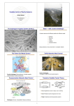 Scalable Control of Positive Systems The Dujiangyan Irrigation