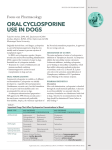 oral cyclosporine use in dogs