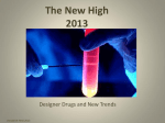 The New High 2013