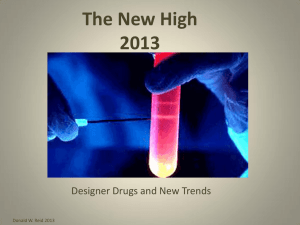 The New High 2013