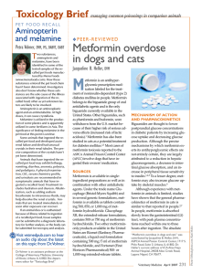 Metformin overdose in dogs and cats