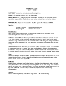CLINGFISH CARE SOP# = OSTE1 PURPOSE: To describe methods