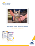 Managing Feline Hyperthyroidism