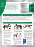 managing the broodmare and growing horse the needs of