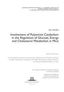 Involvement of Polyamine Catabolism in the Regulation of Glucose