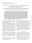 Serotype IX, a Proposed New Streptococcus agalactiae