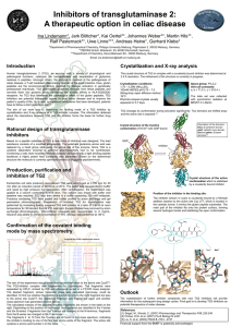 Inhibitors of transglutaminase 2: A therapeutic option in