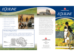 LMF-Equiline Brochure