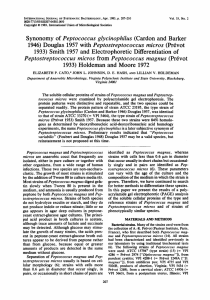 Synonomy of Peptococcus glycinophilus