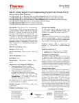 XRCC1 (X-Ray Repair Cross Complementing