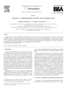 Lysenin: A sphingomyelin specific pore