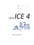 LS1a ICE 4