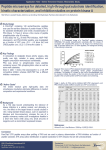 Peptide microarrays for detailed, high-throughput