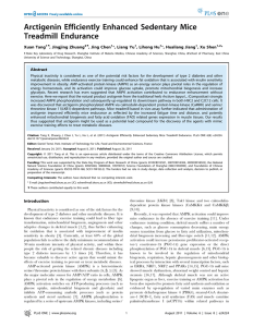 Arctigenin Efficiently Enhanced Sedentary Mice Treadmill