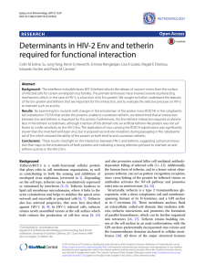 Determinants in HIV-2 Env and tetherin required for