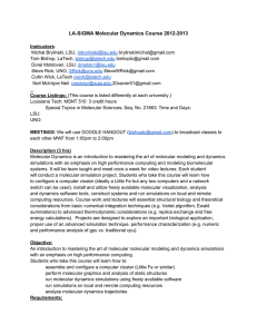 LA-SiGMA Molecular Dynamics Course 2012-2013