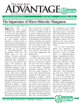 The Importance of Micro-Minerals: Manganese - Agri-King