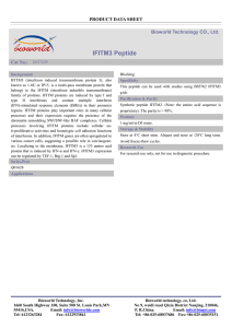 IFITM3 Peptide PRODUCT DATA SHEET  Bioworld Technology CO., Ltd.