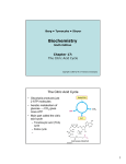 Biochemistry The Citric Acid Cycle Chapter 17: