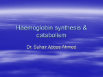 Haemoglobin synthesis &amp; catabolism Dr. Suhair Abbas Ahmed
