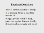 Feeding and digestion