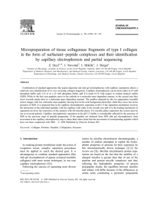 Micropreparation of tissue collagenase fragments of type I collagen