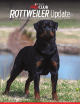 ROTTWEILER Update