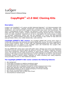 CopyRight v2.0 BAC Cloning Kits