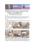 PIGEON GENETICS NEWSLETTER EMAIL OCTOBER 2011