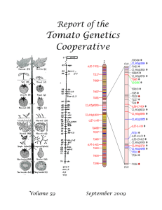 Volume 59 - Tomato Genetics Cooperative