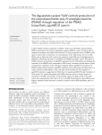 The diguanylate cyclase YddV controls production of